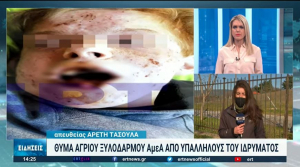 Θεσσαλονίκη: Σοκάρουν οι αποκαλύψεις για τις συνθήκες θανάτου ΑμεΑ σε ίδρυμα (βίντεο)