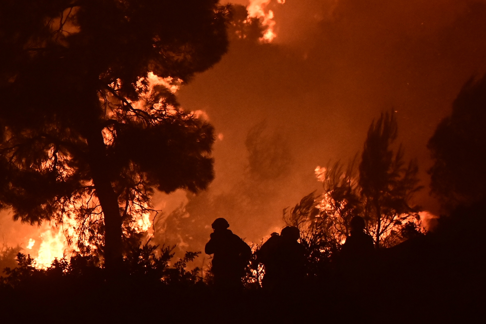 Καίγεται το Πόρτο Γερμενό, εκκενώνεται η Ψάθα: H φωτιά πέρασε στον Μύτικα - Πολλαπλά «112» στην Αχαΐα