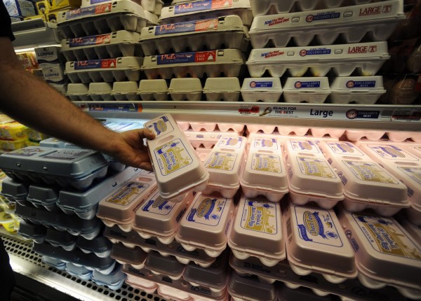 Ανησυχία στην Ευρώπη για τη σαλμονέλα: Στα 94.530 τα κρούσματα για το 2016