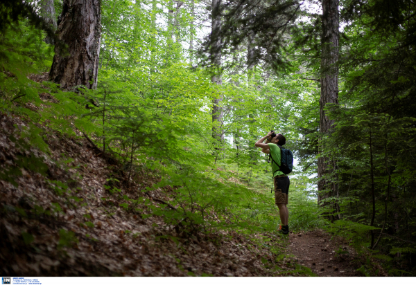 Αγνοείται άνδρας στον Όλυμπο - Στήθηκε επιχείρηση της ΕΜΑΚ για τον εντοπισμό του