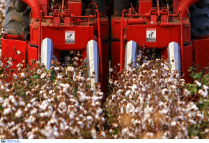 Ροδόπη: Απανθρακώθηκε 42χρονος αγρότης που μετέφερε βαμβάκι