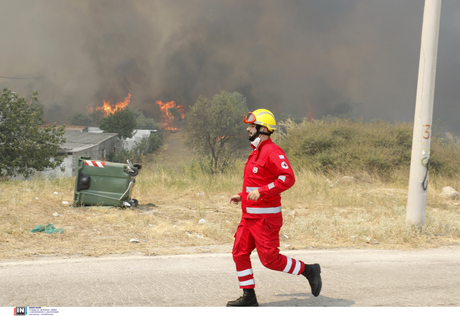 Φωτιά τώρα στην Εύβοια