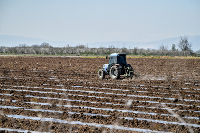 IAPR launches intensive audits on livestock subsidies