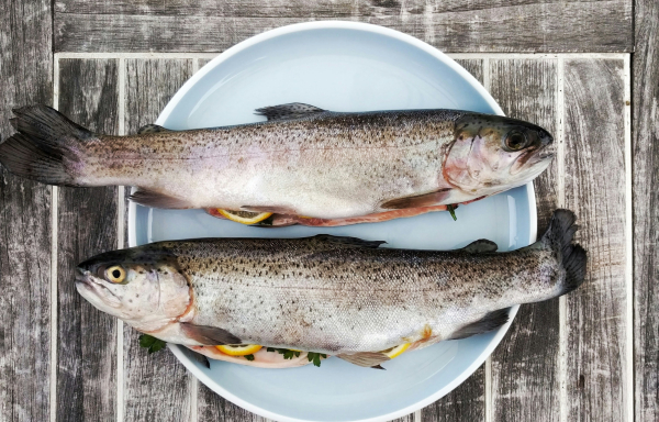 Ανατιμήσεις στα ψάρια: Σε ποια καταγράφονται οι μεγαλύτερες αυξήσεις