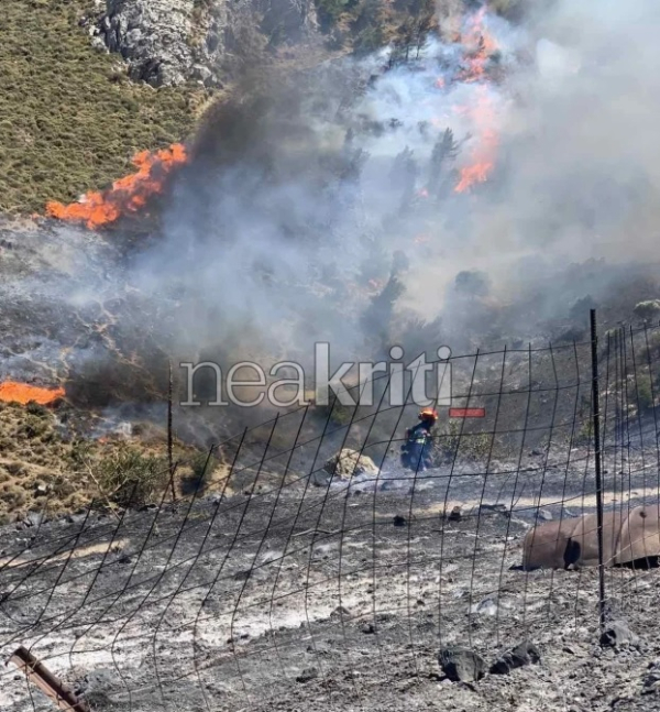 Φωτιά στο Μελιδοχώρι Ηρακλείου: Μήνυμα 112 για εκκένωση - «Μάχη» με τις φλόγες κόντρα στους ισχυρούς ανέμους