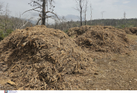 Ακαθάριστα οικόπεδα: Πότε απαιτείται έγκριση Δασαρχείου για τις εργασίες
