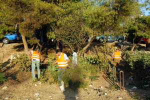 Καθαρισμός οικοπέδων: Πρόστιμα έως 5 χιλ. ευρώ και ποινή φυλάκισης