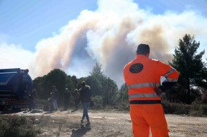 Φωτιά στη Μεσσηνία - Σπεύδει η Πυροσβεστική