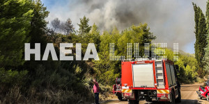 Ηλεία: Μεγάλη πυρκαγιά σε εξέλιξη - Καίγεται το προστατευόμενο δάσος της Στροφυλιάς (pics+vid)
