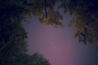 Περσείδες 2025: Πρεμιέρα για τα καλοκαιρινά πεφταστέρια - Πότε η κόρυφωσή τους