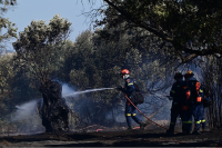 Πυροσβεστική: Τέσσερις συλλήψεις για φωτιές από αμέλεια - Διοικητικά πρόστιμα χιλιάδων ευρώ