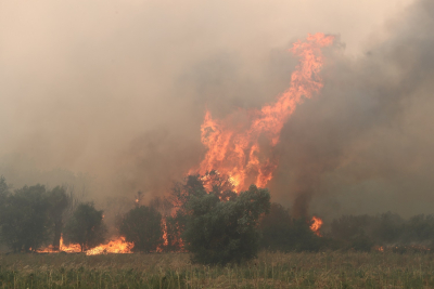 Η φωτιά στον Έβρο απειλεί το Σουφλί, καίει για δύο εβδομάδες