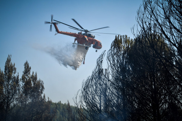 Μεγάλη φωτιά στην Ελαφόνησο - Εντολή προληπτικής εκκένωσης σε κάμπινγκ και ξενοδοχείο