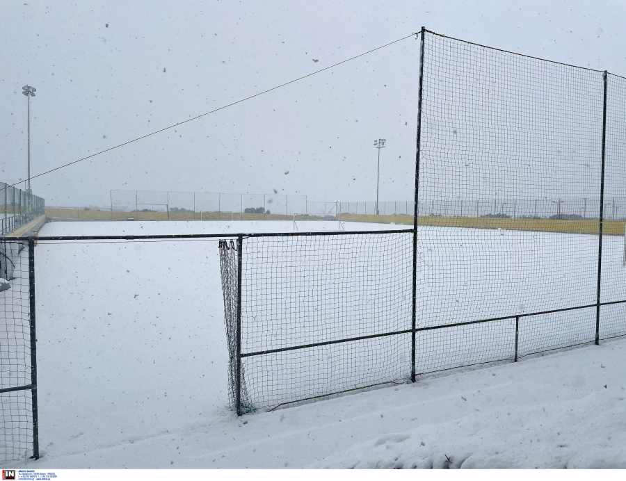 Χιόνια, λύκοι και.. κλειστά σχολεία σε Βόρεια και Κεντρική Ελλάδα