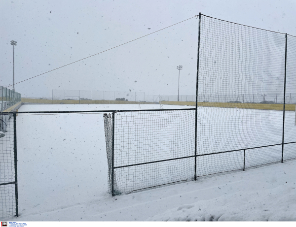 Χιόνια, λύκοι και.. κλειστά σχολεία σε Βόρεια και Κεντρική Ελλάδα