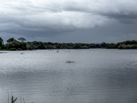 Σε κατάσταση συναγερμού ο Έβρος - Κάτω από το νερό 150.000 στρέμματα, 4 περιοχές σε επιφυλακή