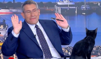 Μαύρη γάτα ήθελε να γίνει «πανελίστας» και τα κατάφερε -Το επικό βίντεο στο πλατό του ΣΚΑΙ