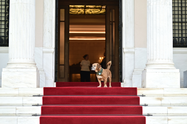 Πλήγμα για τη ΝΔ, μικρή άνοδο για το ΠΑΣΟΚ δείχνουν οι νέες δημοσκοπήσεις