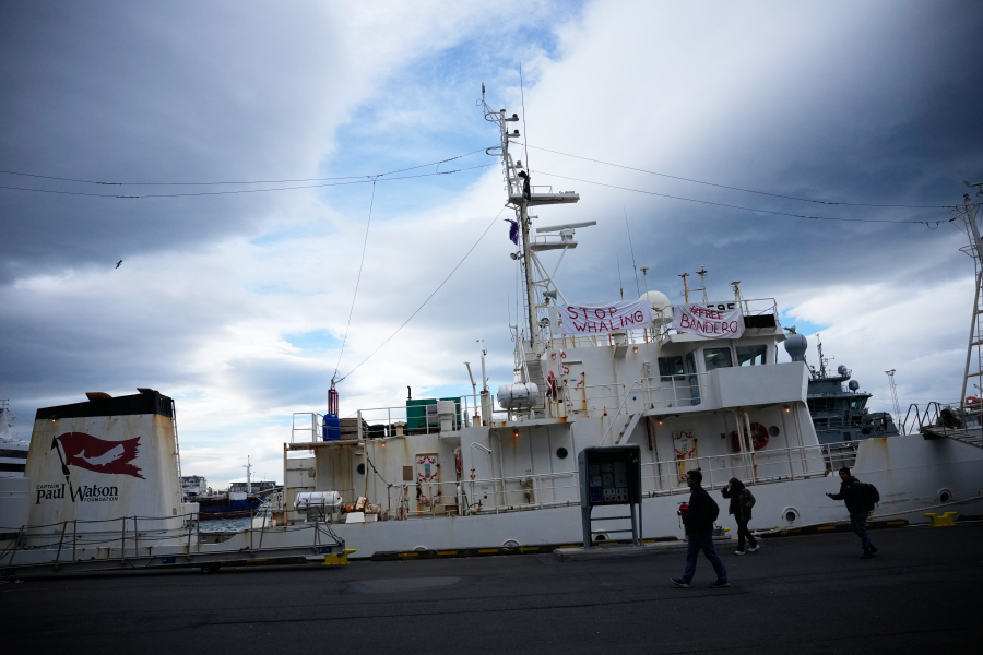 Η Ισλανδία βάζει τέλος στη φαλαινοθηρία - Προσπάθειες να «επιβιώσει» κάνει η τελευταία εταιρεία της χώρας