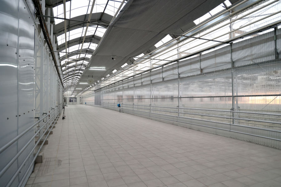 Σκιές πίσω από την συνταγογράφηση της φαρμακευτικής κάνναβης στην Ελλάδα