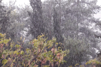 Κακά τα μαντάτα για τον καιρό του Πάσχα 2026: Πού θα έχουμε βροχές και καταιγίδες - Η εκτίμηση Ζιακόπουλου