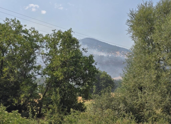 Μαίνεται η μεγάλη φωτιά στο Βαρικό Φλώρινας - Επιχειρούν 8 εναέρια