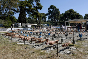 Πώς θα σουβλίσουμε αρνί φέτος - Όλα τα μέτρα που θα πάρει η κυβέρνηση