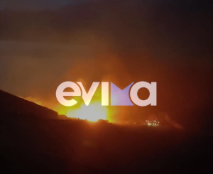 Oλονύχτια μάχη με τις φλόγες στην Κάρυστο - Εκκενώθηκαν τέσσερις οικισμοί - Νεκρά ζώα και χωριά χωρίς ρεύμα