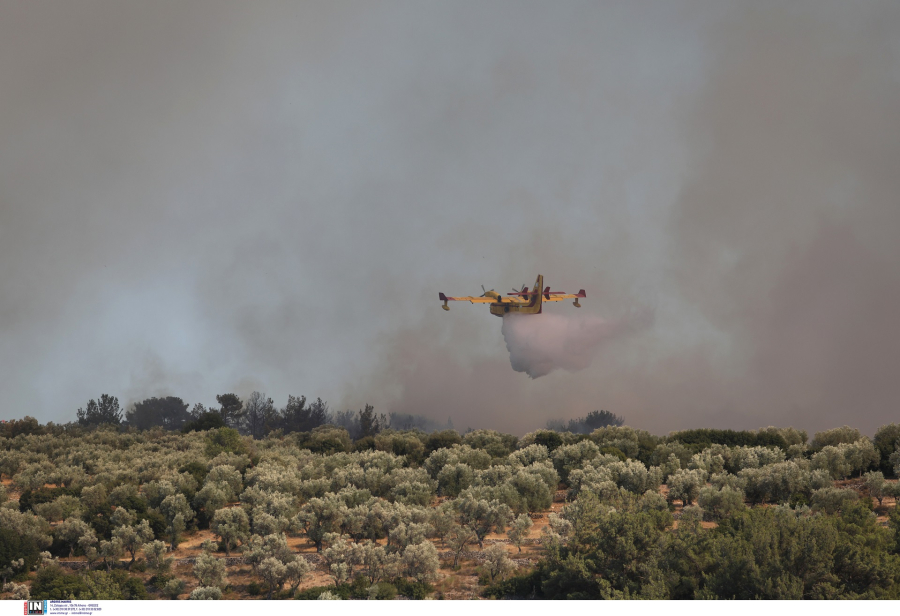 Υπό έλεγχο οι φωτιές σε Ηλεία, Κορινθία - Πυρκαγιά εκδηλώθηκε σε ξενοδοχείο στην Κέρκυρα