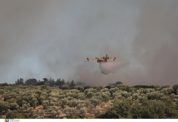 Υπό έλεγχο οι φωτιές σε Ηλεία, Κορινθία - Πυρκαγιά εκδηλώθηκε σε ξενοδοχείο στην Κέρκυρα