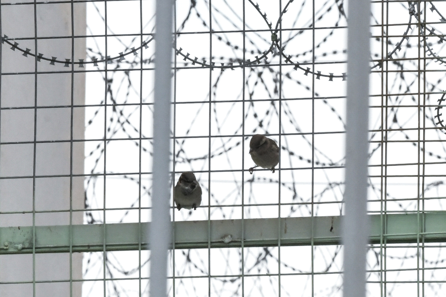 Σχεδίαζαν απόδραση με ομηρία από τις φυλακές Κορυδαλλού