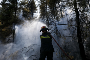 Φωτιές: Καθ' οδόν προς την Ελλάδα κομβόι με πυροσβέστες από τη Ρουμανία – «Δεν θα αφήσουμε την Ελλάδα μόνη» (βίντεο)