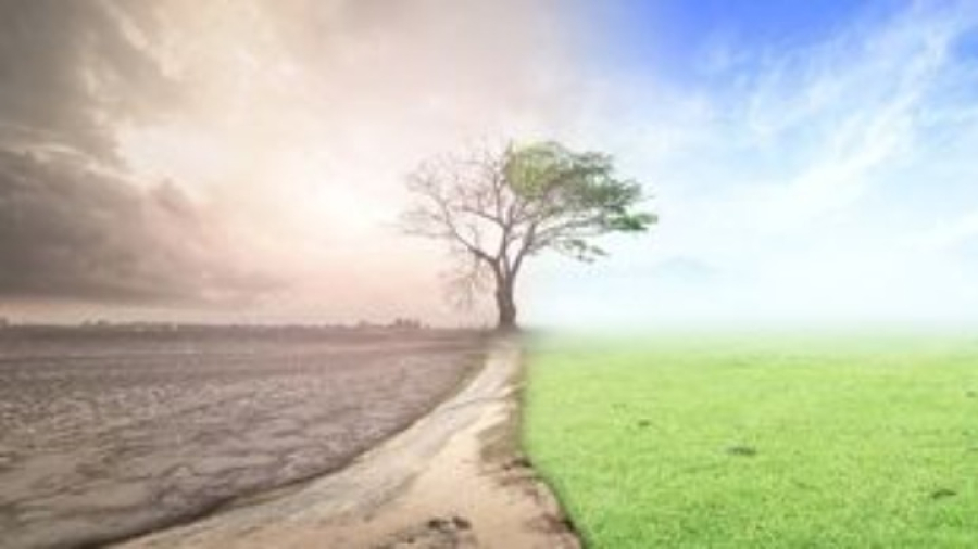 Από που προέρχεται το διοξείδιο του άνθρακα στην Ευρώπη