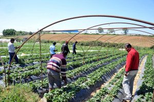 Ανησυχία για τα κρούσματα στη Λακωνία, πληροφορίες ότι θα πάει ο Τσιόδρας