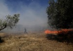 Υπό έλεγχο η πυρκαγιά στην περιοχή Πλαγίων Αξιούπολης