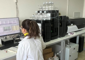 Θωρακίζεται η ασφάλεια των αρτοσκευασμάτων με νέο εργαστηριακό έλεγχο