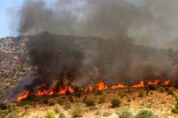 Σε ύφεση η φωτιά στην περιοχή Κύργια στο Δοξάτο Δράμας