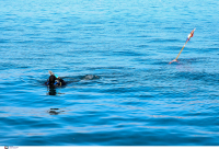 Ηράκλειο: Πτώμα 3 μηνών «ξέβρασε» η θάλασσα
