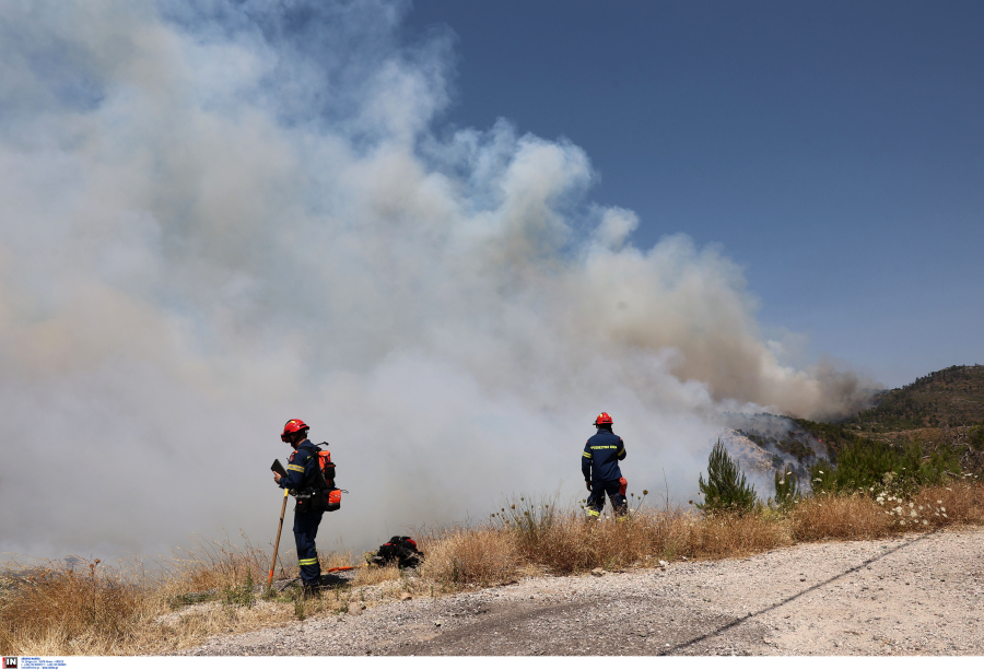 Φωτιά στο Κερί Ζακύνθου, σε δασική έκταση