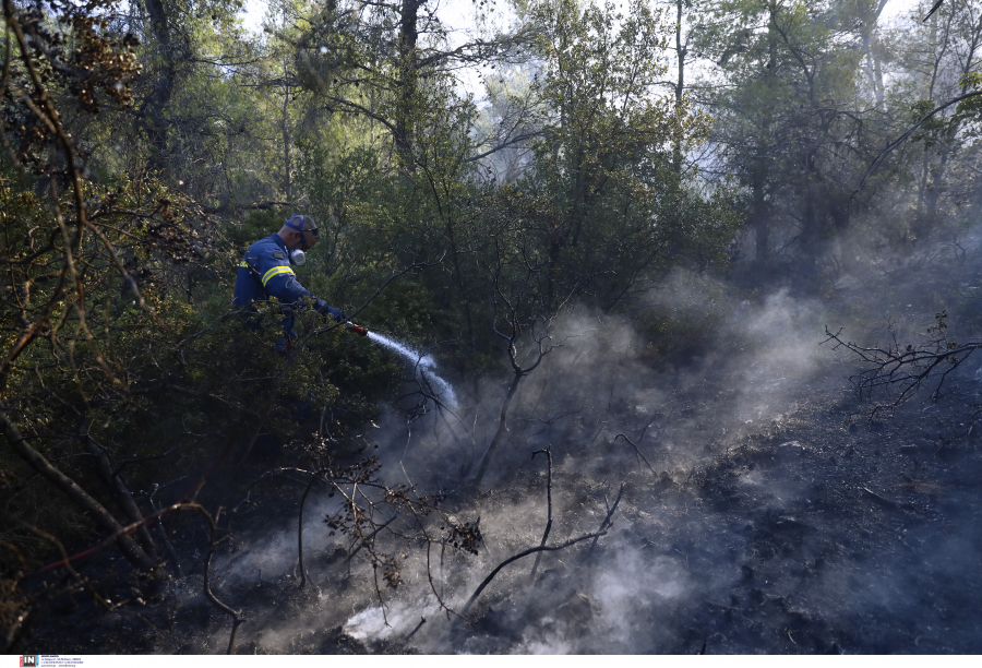 Σε ύφεση και οριοθετημένη η φωτιά στα Βίλια - Φόβοι για αναζωπυρώσεις