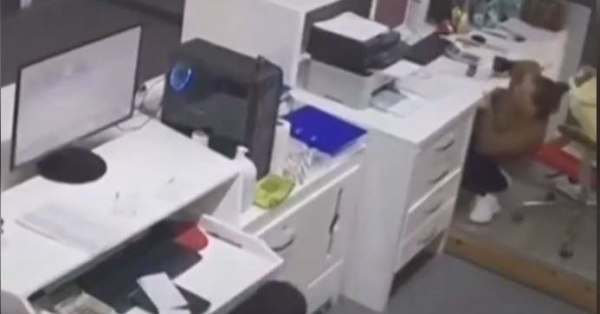 Η στιγμή του μεγάλου σεισμού των 5,2 ρίχτερ στη Σαντορίνη (βίντεο)