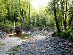 2 Προσλήψεις στην πυροπροστασία του Δήμου Μεγίστης