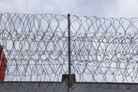 Το Δημόσιο αποζημιώνει αστυνομικό για τσιμπήματα κοριών και ψύλλων σε κρατητήρια