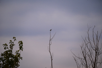 Καιρός: Η Αθήνα εκτός κακοκαιρίας σήμερα - Νέο έκτακτο της ΕΜΥ για τις επόμενες ώρες