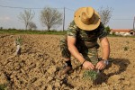 Υπουργείο Αγροτικής Ανάπτυξης: Επιχορήγηση 64 εκατ. ευρώ σε σχήματα συνεργασίας φορέων