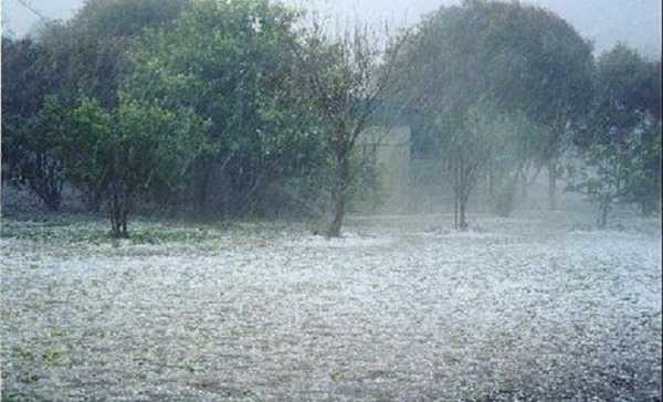 Μεγάλες ζημιές στις καλλιέργειες μήλων και ροδάκινων από χαλαζόπτωση στη Δ. Μακεδονία