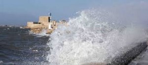 Πτώσεις δένδρων και πολλά προβλήματα προκαλούν οι ισχυροί άνεμοι στην Κρήτη