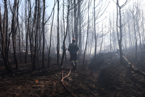 Λιγότερες φωτιές καίνε περισσότερα στρέμματα - Ξεφεύγει η κατάσταση και εκτός αντιπυρικής περιόδου