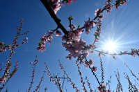 Καιρός: Ηλιοφάνεια και καλές θερμοκρασίες σήμερα - Πού αναμένονται βροχές