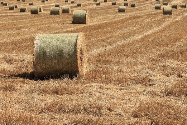 Οι αγρότες στον αέρα - Ο ΟΠΕΚΕΠΕ σε αδιέξοδο με τις επιδοτήσεις
